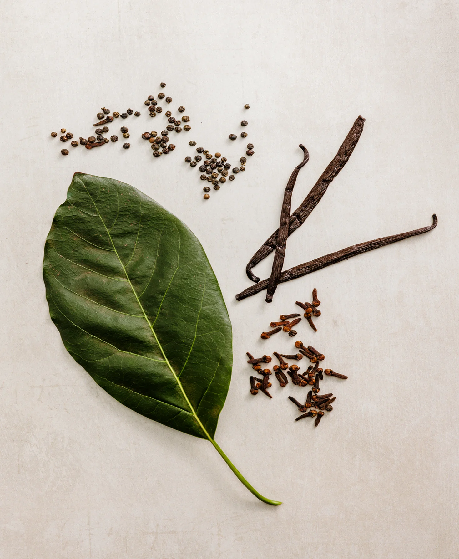 Spice & Black Vanilla Body Wash - Image 6